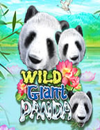 บา คา ร่า 123betmoney train slot อยู่ ค่าย ไหน มาดูกัน